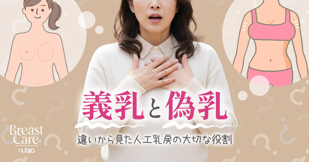 義乳と偽乳の違いから見た人工乳房の大切な役割とは